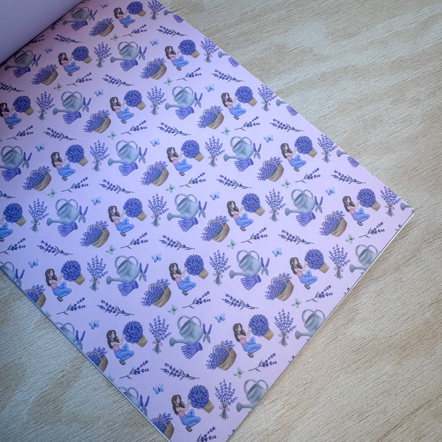 Fields of Lavender Moments & Moods Book