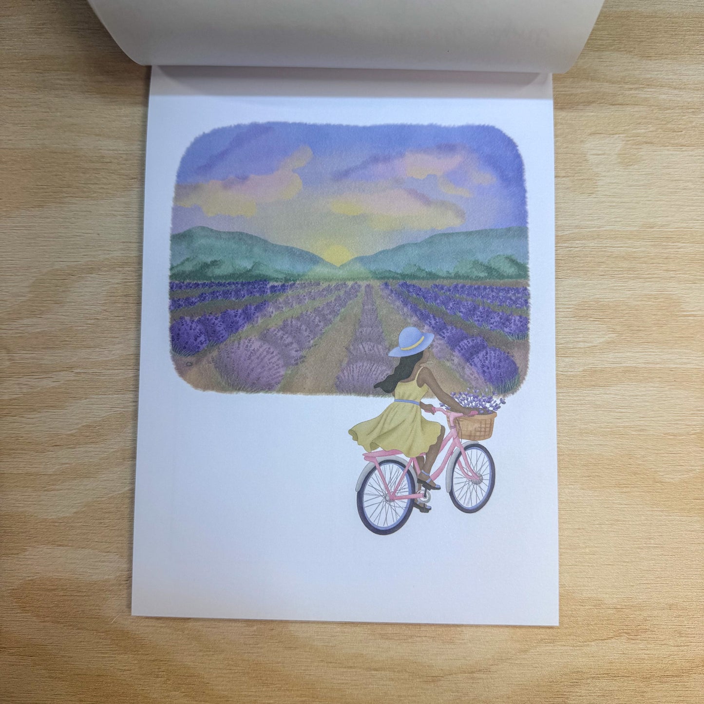 Fields of Lavender Moments & Moods Book