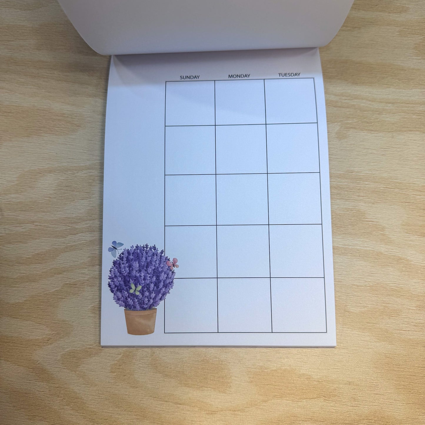 Fields of Lavender Moments & Moods Book